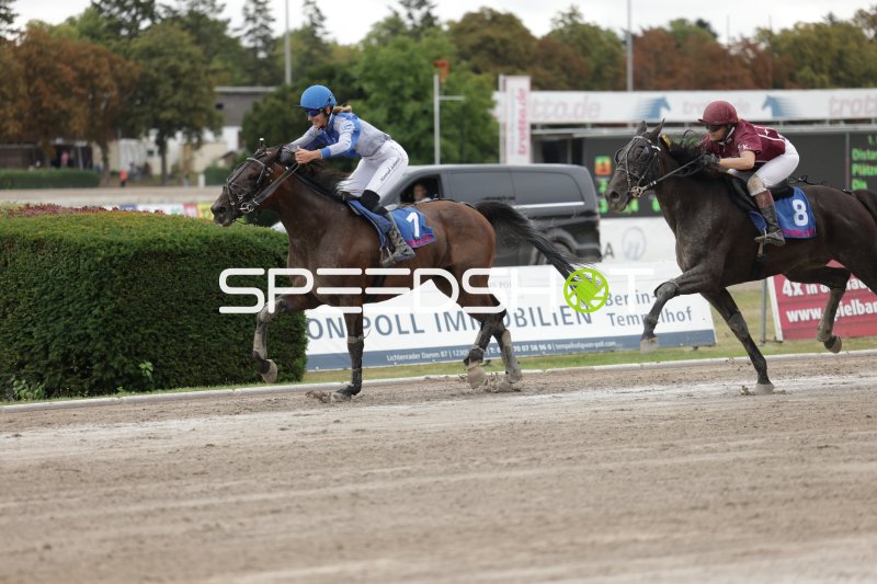 Jockey auf Pferd #7 führt das Rennen auf der Rennbahn Berlin Mariendorf