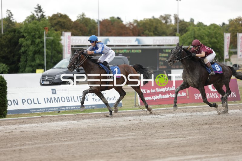 Jockey auf Pferd #7 führt das Rennen auf der Rennbahn Berlin Mariendorf