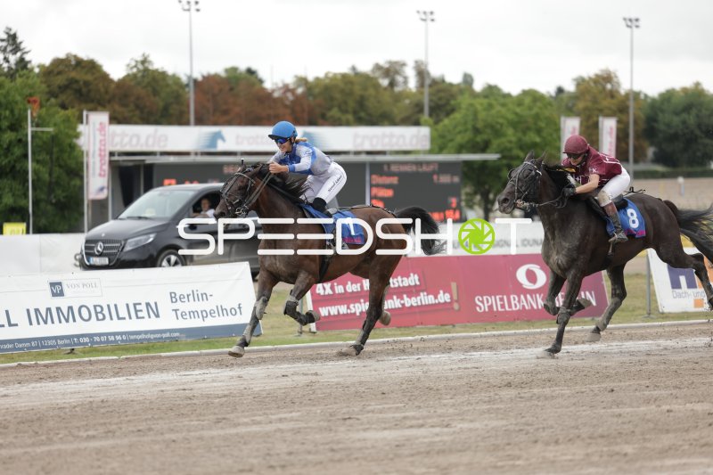 Jockey (#1) führt im Galopp auf der Rennbahn Berlin Mariendorf