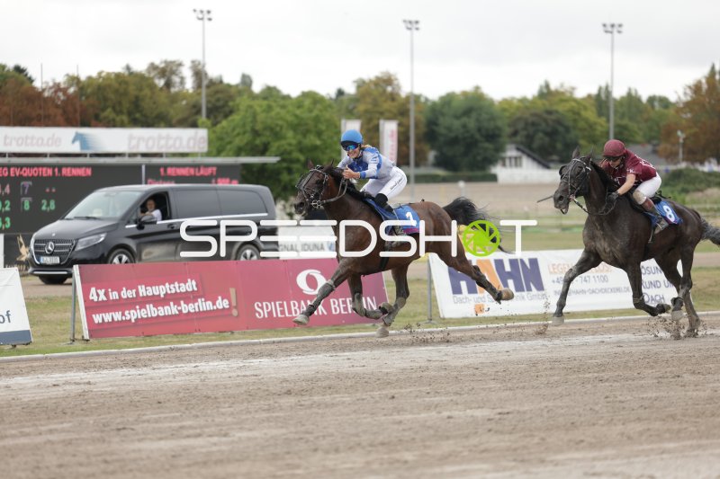 Jockey auf Startnummer 1 führt das Rennen in Mariendorf an