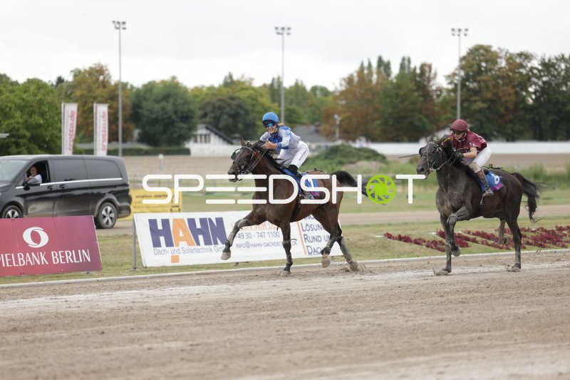 Zwei Jockeys im Galopp auf der Rennbahn Berlin Mariendorf