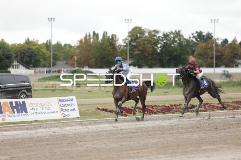 Jockey auf Pferd Nr. 2 führt das Rennen in Mariendorf an