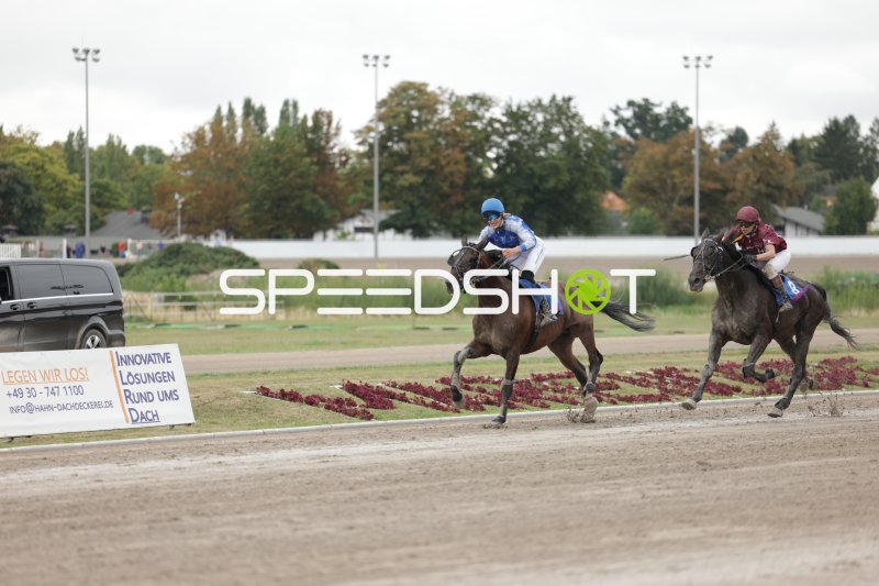 Zwei Jockeys im Kopf-an-Kopf-Rennen auf der Rennbahn Berlin Mariendorf