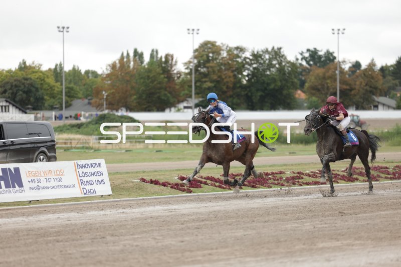 Zwei Jockeys im Kopf-an-Kopf-Rennen auf der Rennbahn Berlin Mariendorf