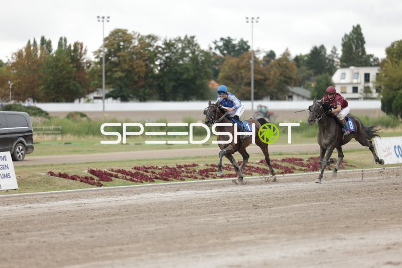 Jockey #1 führt knapp vor #8 auf der Sandbahn in Mariendorf