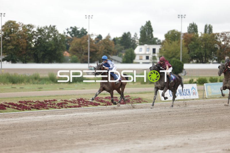Pferderennen auf der Rennbahn Berlin Mariendorf – Jockey #1 in Führung