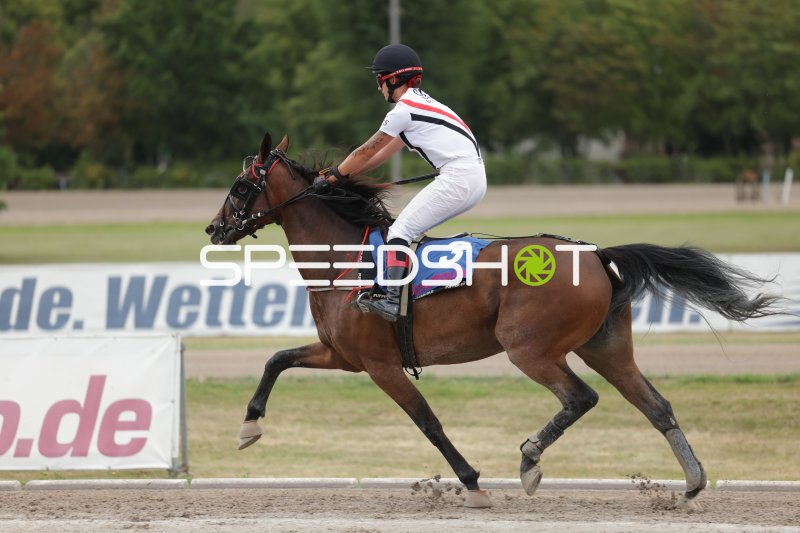 Jockey auf Pferd #3 im Galopp auf der Rennbahn Berlin Mariendorf