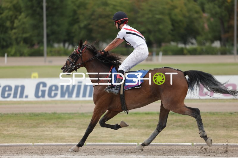 Jockey mit Startnummer 3 im Galopp auf der Rennbahn Berlin Mariendorf