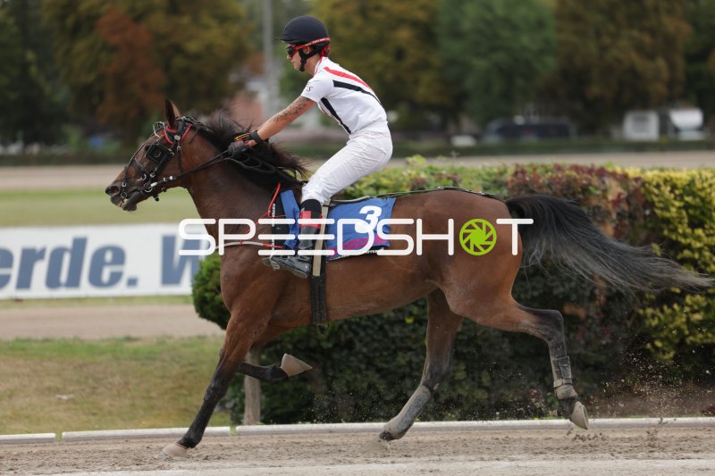 Jockey mit Startnummer 3 im Galopp auf der Rennbahn Mariendorf