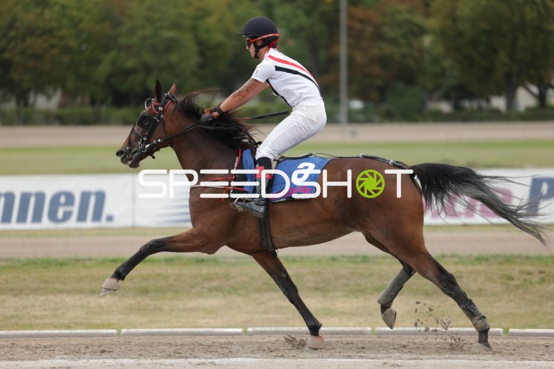 Jockey mit Startnummer 3 im Galopp auf der Rennbahn Berlin Mariendorf