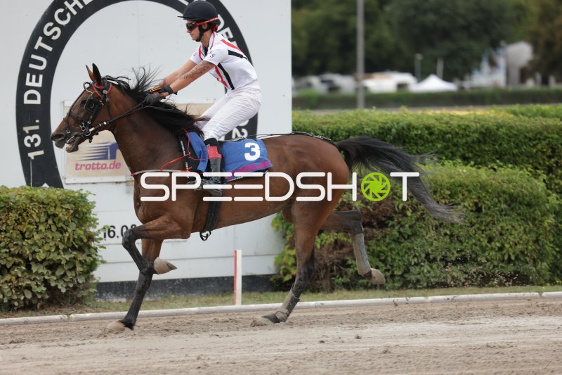 Jockey mit Startnummer 3 im Galopp auf der Rennbahn Berlin Mariendorf