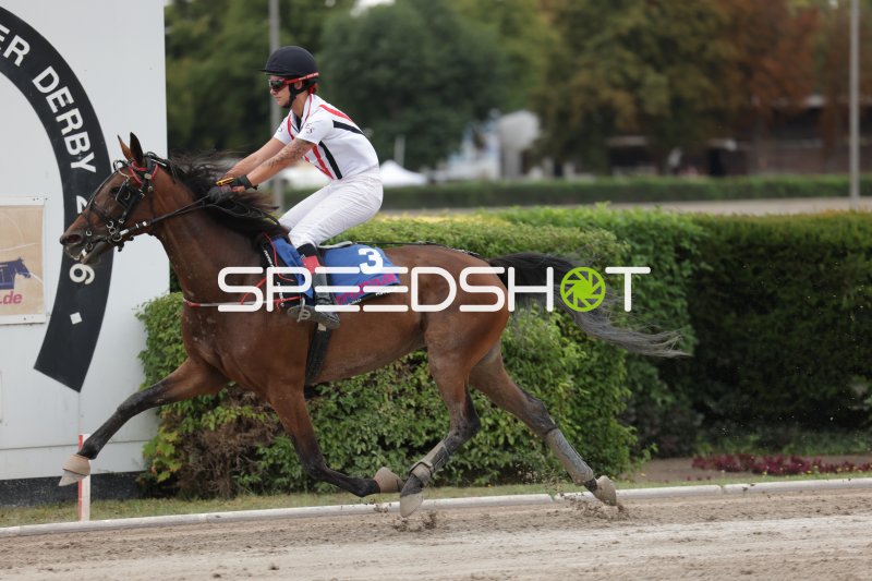Jockey mit Startnummer 3 im Galopp auf der Rennbahn Mariendorf