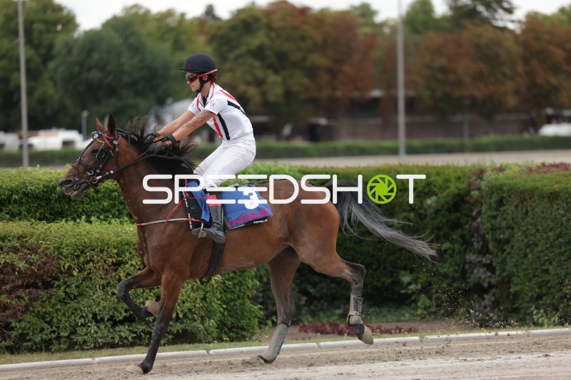 Jockey (#3) im Galopp auf der Rennbahn Berlin Mariendorf