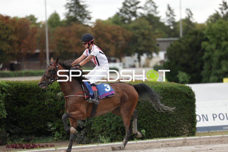 Jockey mit Startnummer 3 auf der Rennbahn Berlin Mariendorf