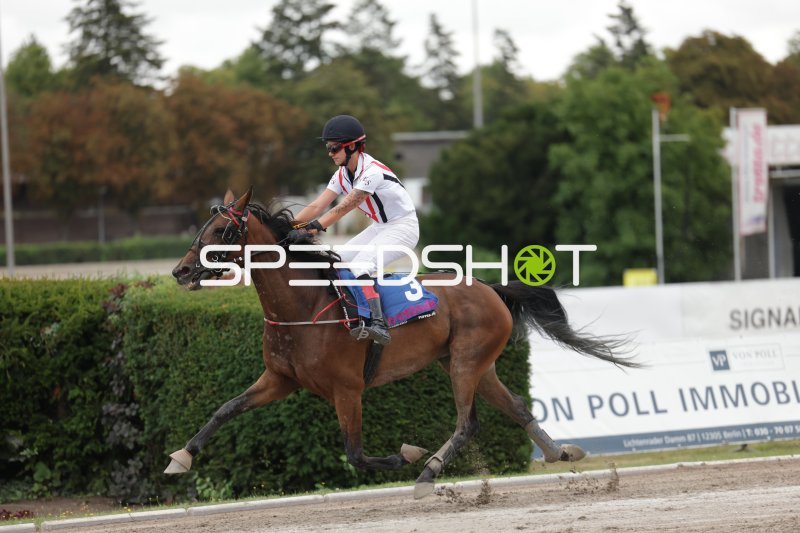 Jockey mit Startnummer 3 im Galopp auf der Rennbahn Berlin Mariendorf