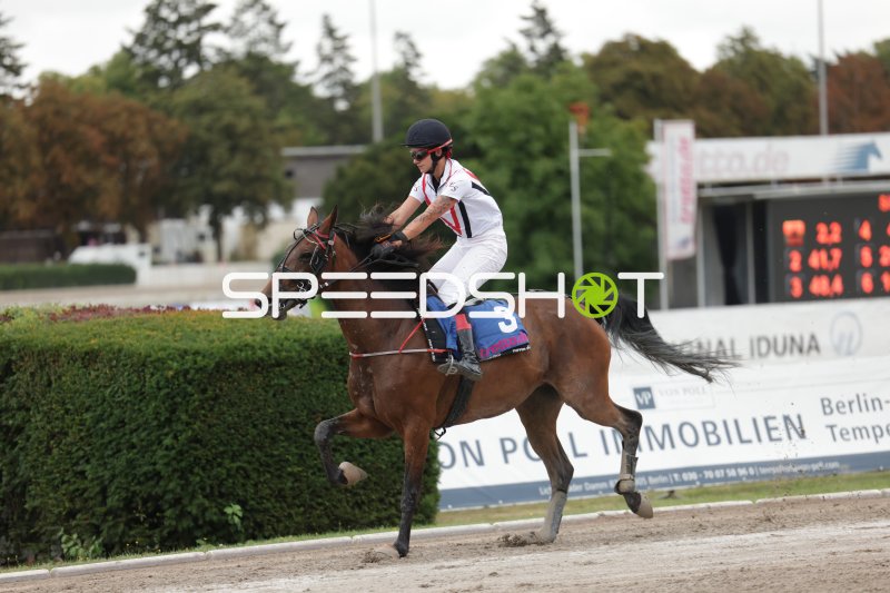 Jockey mit Startnummer 3 im Galopp auf der Rennbahn Mariendorf