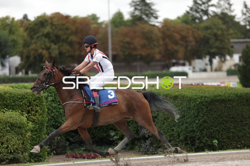 Jockey (#3) im Galopp auf der Rennbahn Berlin Mariendorf
