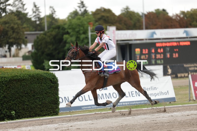 Jockey auf Pferd Nr. 3 im Galopp auf der Rennbahn Berlin-Mariendorf