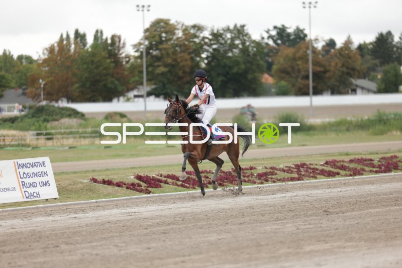 Jockey auf Pferd Nr. 3 im Galopp auf der Rennbahn Mariendorf