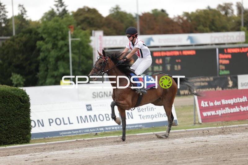 Jockey auf Pferd #3 im Galopp auf der Rennbahn Mariendorf