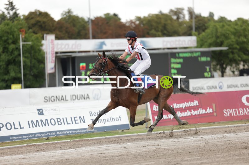 Jockey mit Startnummer 3 im Galopp auf der Rennbahn Berlin Mariendorf