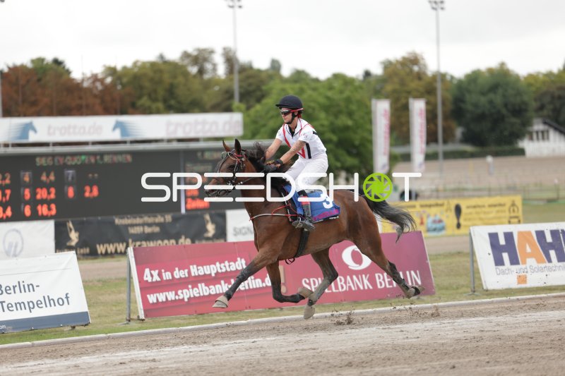 Jockey auf Pferd #3 im Galopp auf der Rennbahn Berlin Mariendorf