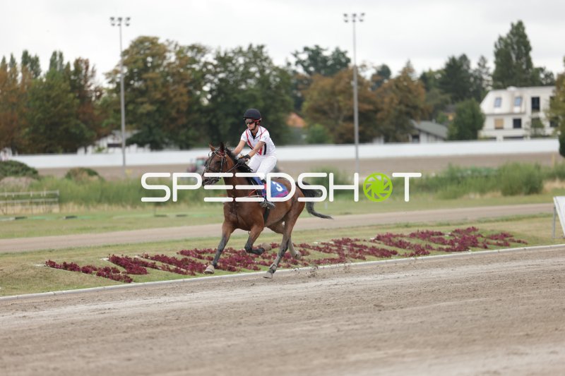 Jockey auf Pferd Nr. 3 im Galopp auf der Rennbahn Mariendorf