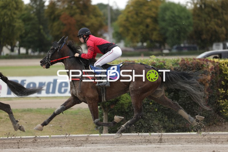 Jockey (#2) im Galopp auf der Rennbahn Berlin Mariendorf