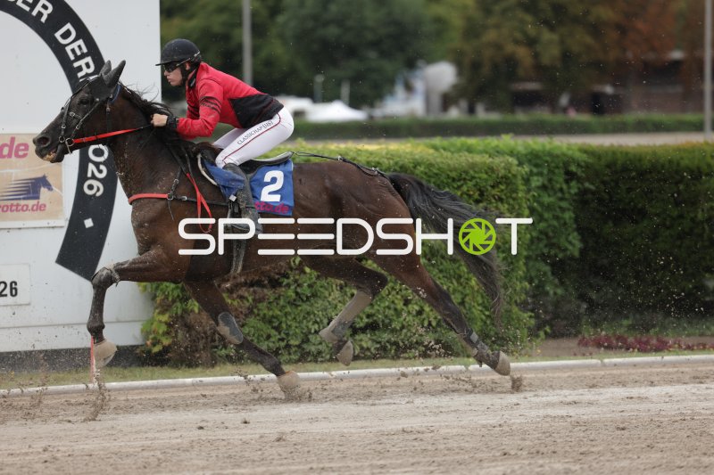 Jockey mit Startnummer 2 im vollen Galopp auf der Sandbahn