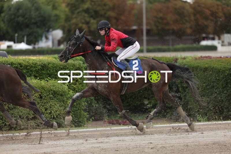 Jockey auf Pferd #2 (Classichap) im Galopp auf der Rennbahn Mariendorf