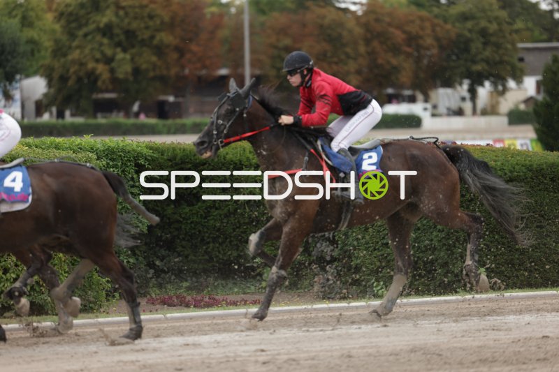 Jockey auf Startnummer 2 im Galopp auf der Rennbahn Berlin Mariendorf