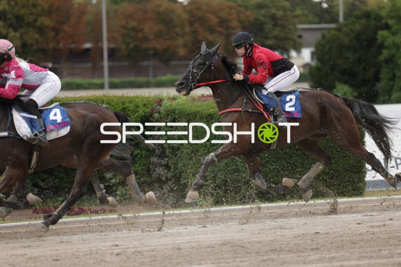 Jockey (#2) auf dunklem Pferd führt Rennen in Mariendorf an
