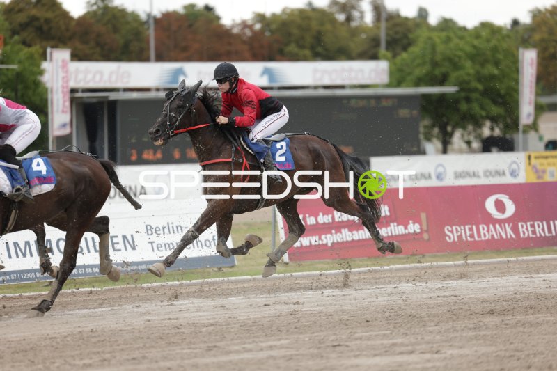 Jockey auf Startnummer 2 im Galopp auf der Rennbahn Berlin-Mariendorf