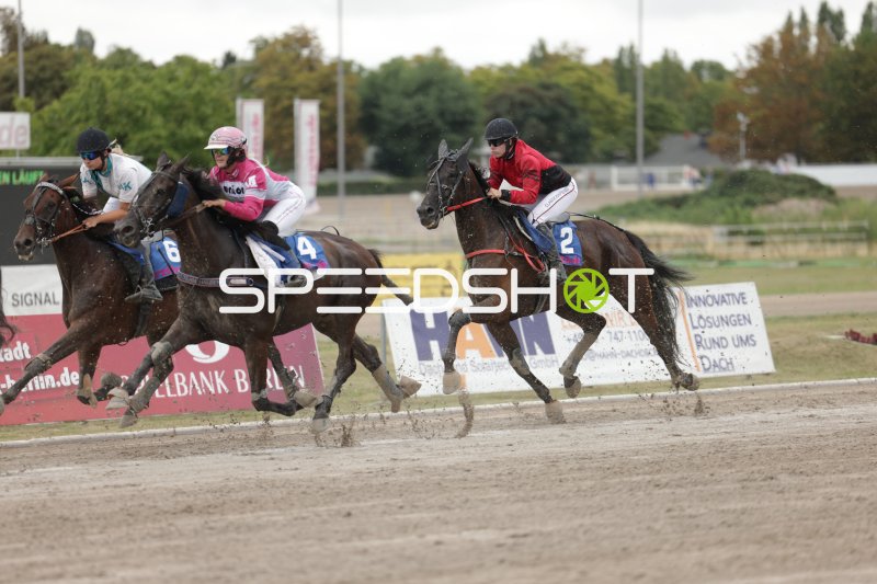 Drei Jockeys im Galopp-Rennen auf der Rennbahn Berlin Mariendorf