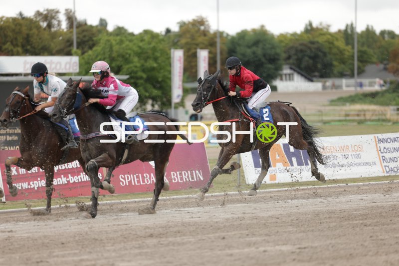 Jockey (#2) führt das Feld auf der Sandbahn in Mariendorf
