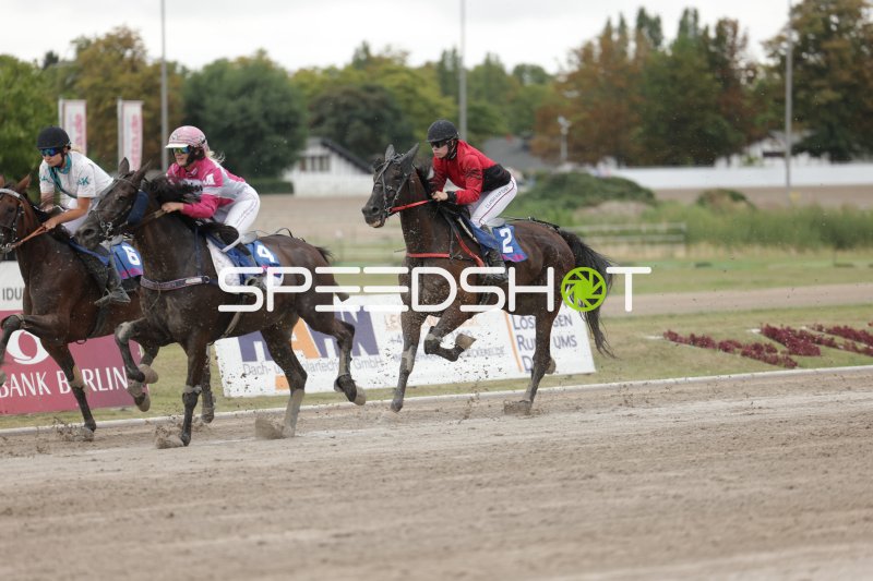 Drei Jockeys im Galopp-Rennen auf der Rennbahn Berlin Mariendorf