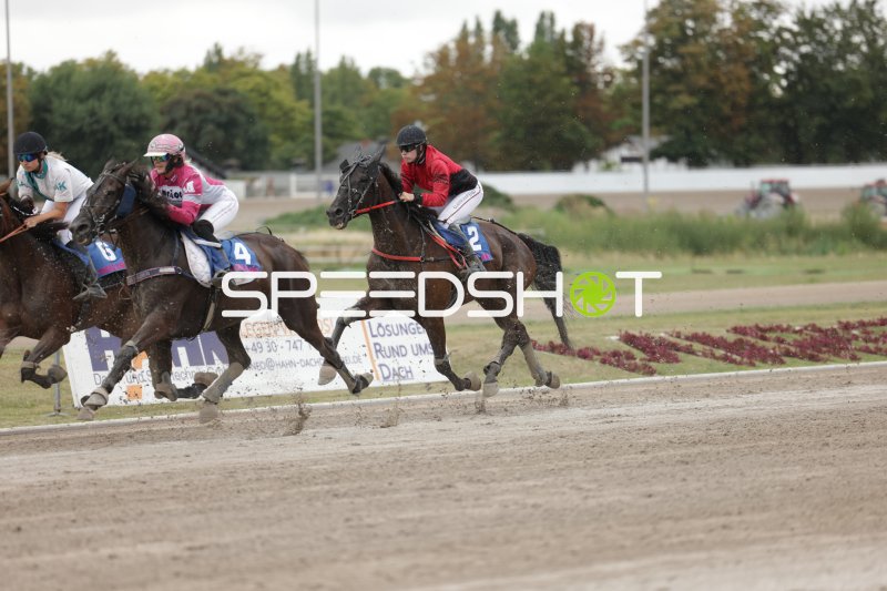 Pferderennen auf der Rennbahn Berlin Mariendorf – drei Jockeys im Kampf