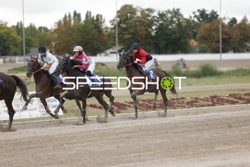 Drei Jockeys im Galopp auf der Rennbahn Berlin Mariendorf