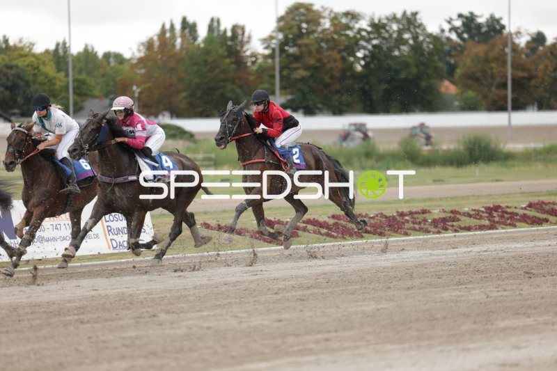 Drei Jockeys im Kopf-an-Kopf-Rennen auf der Rennbahn Berlin Mariendorf
