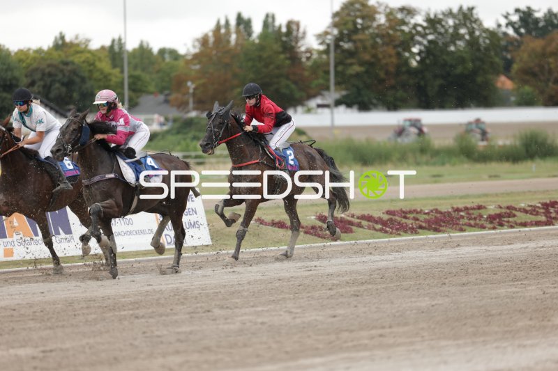 Galopprennen auf der Rennbahn Berlin Mariendorf – Pferd #2 in Führung