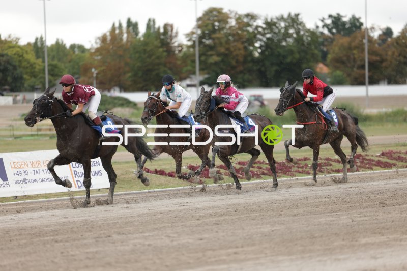 Vier Jockeys im Galopp auf der Rennbahn Berlin Mariendorf