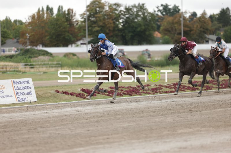 Jockey in Blau führt das Rennen auf der Rennbahn Berlin Mariendorf