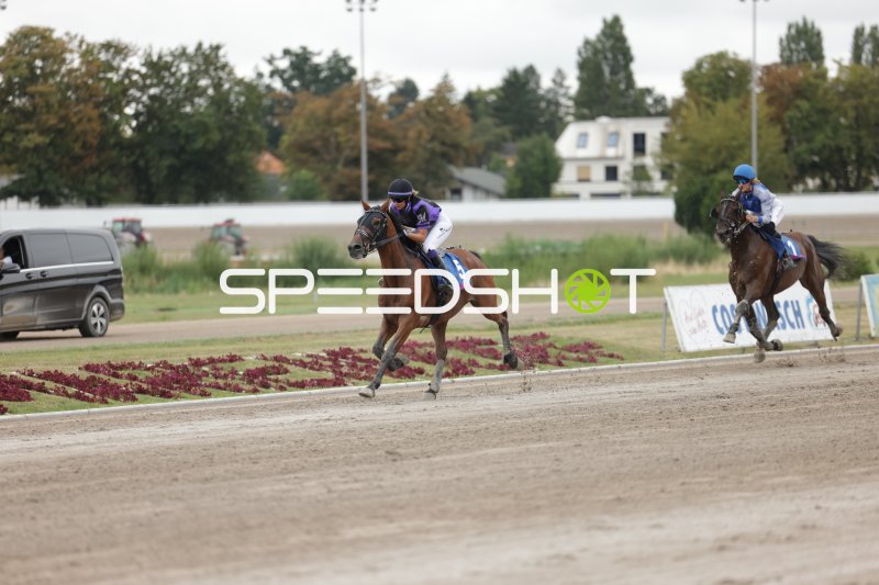 Jockey auf Pferd #5 führt das Rennen in Mariendorf