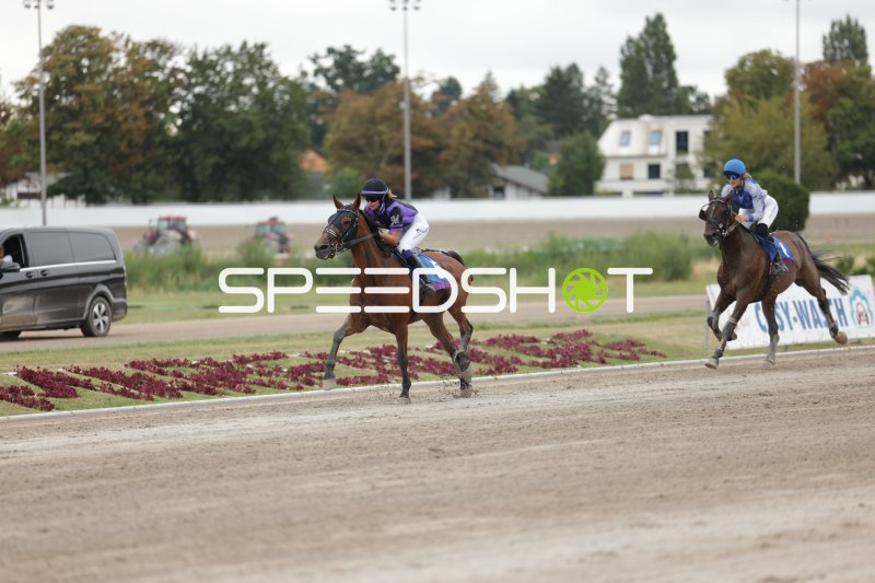 Jockey auf Pferd #5 führt das Rennen in Mariendorf
