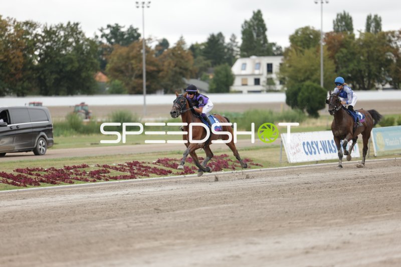Jockey auf Startnummer 5 führt das Rennen auf der Sandbahn an