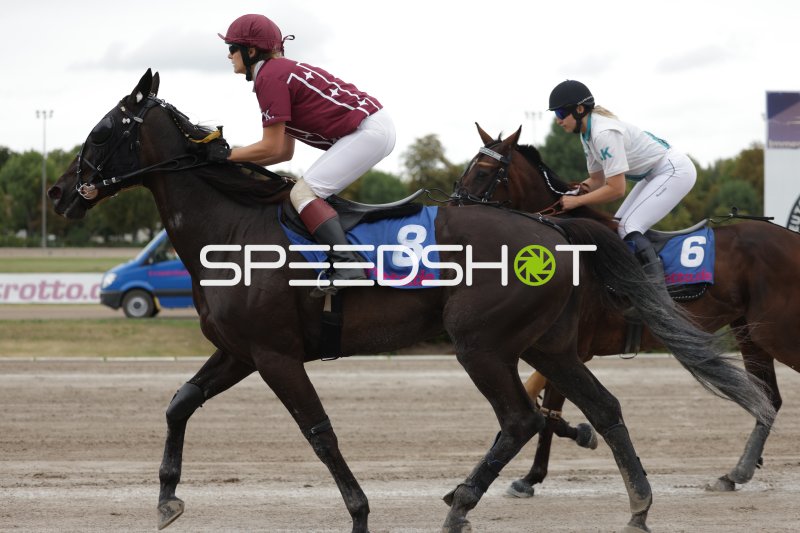 Jockey auf Pferd #8 führt das Rennen auf der Rennbahn Berlin Mariendorf
