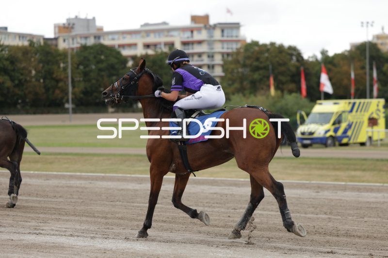 Jockey auf Startnummer 5 im Galopp auf der Sandbahn in Mariendorf