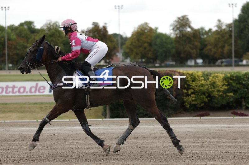 Jockey auf Startnummer 4 im Galopp auf der Rennbahn Mariendorf