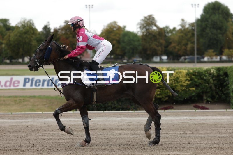 Jockey auf Pferd #4 im Galopp auf der Rennbahn Mariendorf