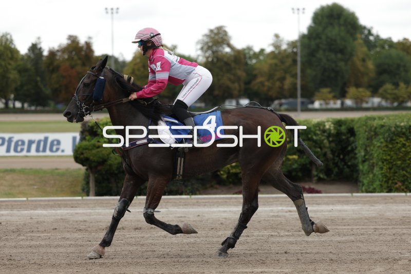 Jockey mit Startnummer 4 galoppiert auf der Rennbahn Mariendorf